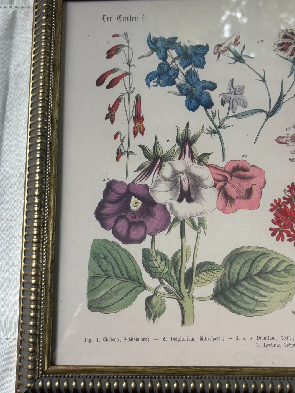 Floral Botanical Print Wall Art in Multi-Color